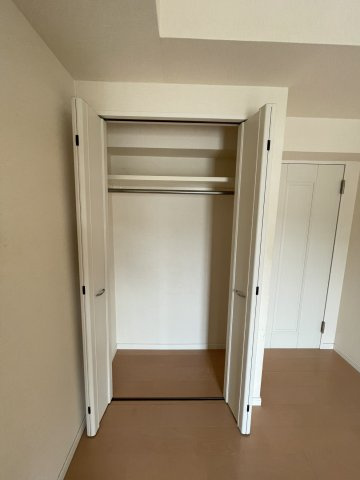 エイルマンション岩崎プレジデンスの収納|洋室クローゼットです。
