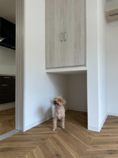 【収納】 | エントランスライフ宝ヶ池