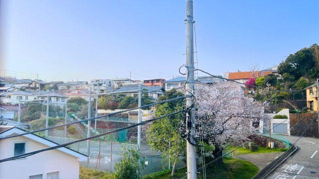 鎌倉×江ノ島、湘南の真ん中で叶える暮らし。の展望|春には室内から桜を見渡せます