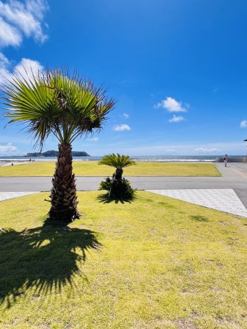 鎌倉×江ノ島、湘南の真ん中で叶える暮らし。の周辺|サーフビレッジも生活圏内。家族やワンちゃんを連れて、休日はゆっくり過ごすことができます