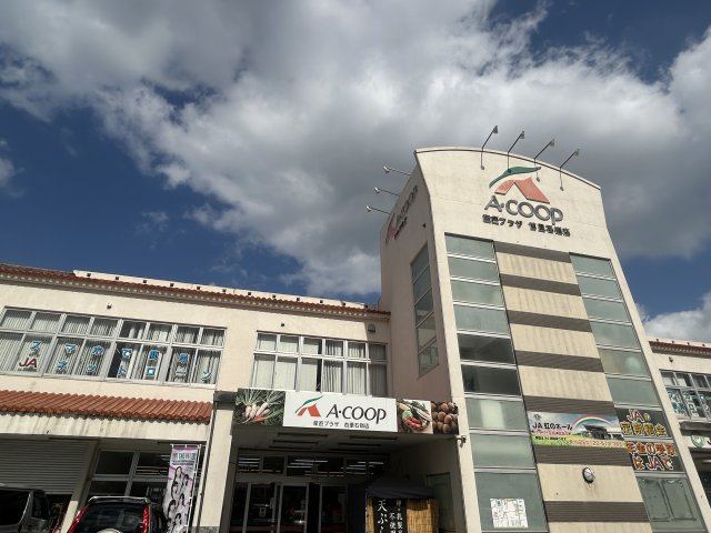 新垣アパートの周辺