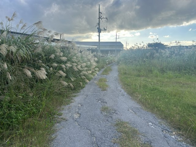 大里稲嶺農地の外観