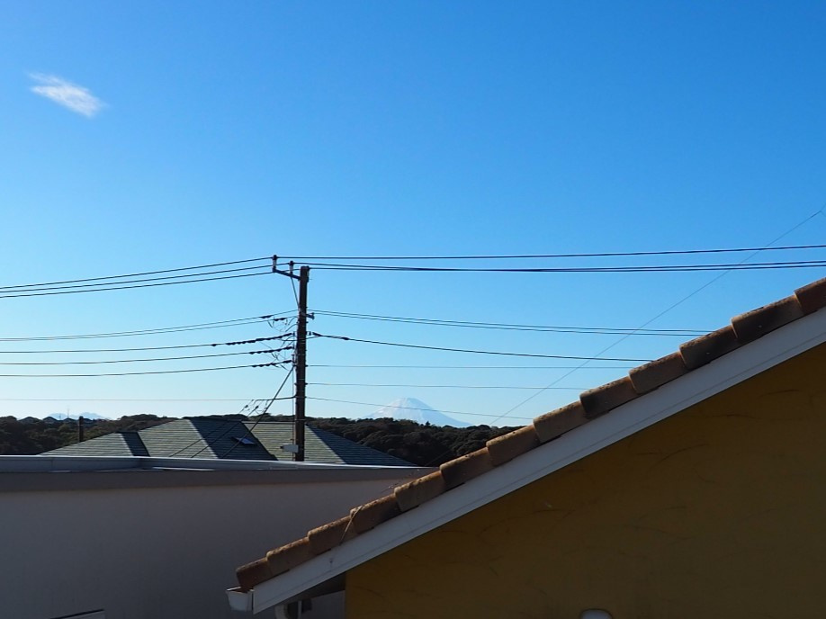 海まで徒歩１０分！海と富士山を望むプロムナード沿いの戸建の展望