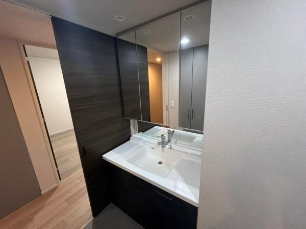 ザ・レジデンス大淀河畔の独立洗面台