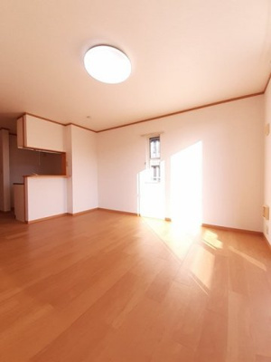 【その他】 | プラシードカーサⅡ