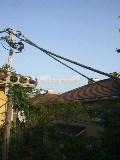 タウンハウス野方の展望