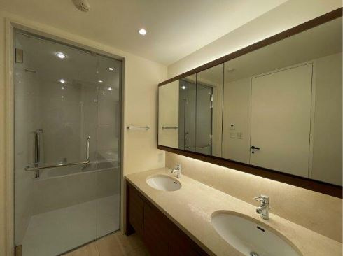 港区虎ノ門４丁目の賃貸マンションのその他|洗面
