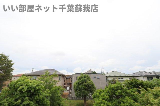 プロムナードの展望