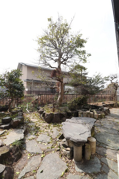 北野町金島貸家の庭|前回入居時（現況優先）