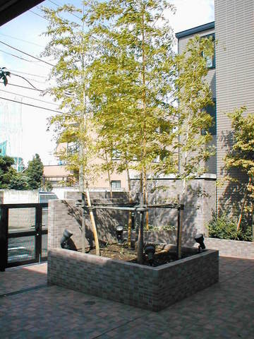 ラ　スタジオーネ都立家政Ｃ棟のその他共用部分|★緑豊かな敷地内★