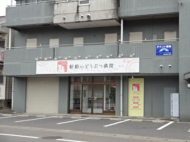 Ｓａｍｓａｒａ　Ｙａｍａｚａｋｉのその他|新都心どうぶつ病院