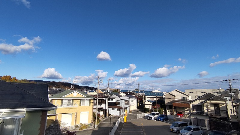 桜マンションの展望