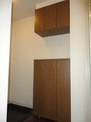 グリーンアースのその他|シューズボックス