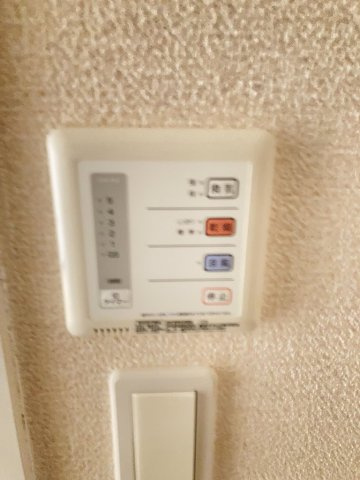 レオネクストブラン　ブルーのその他