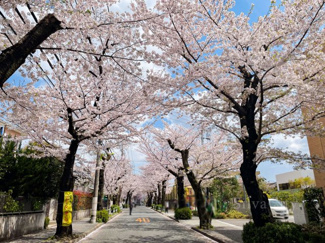 【洋室】 | 世田谷区用賀1丁目