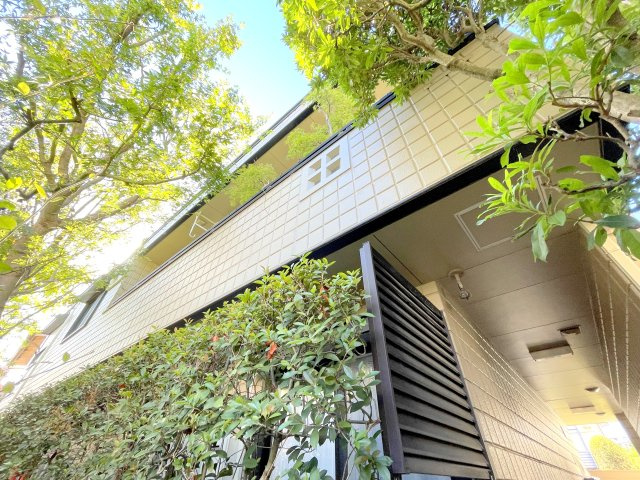 Ｔ＆ＮＳの外観
