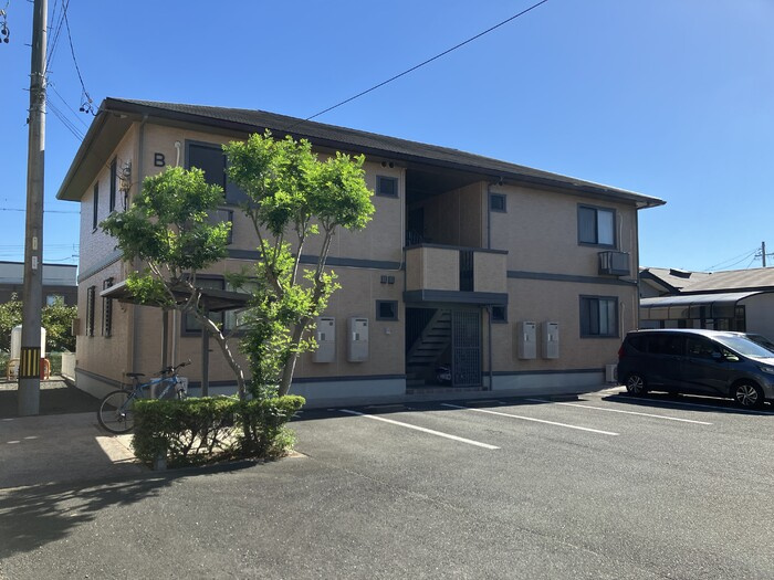 ウィルモア蔵子Ｂ