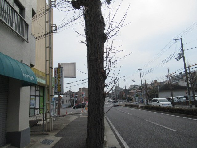 福田ハイツの展望