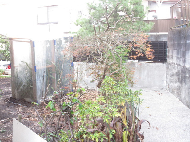 エプコットY・Sのエントランス|エントランス