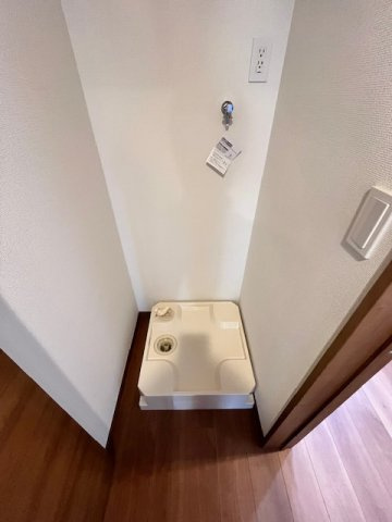 シャトームラシュウⅡのその他