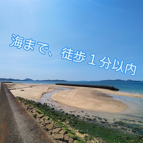 松山市久保　約４９坪