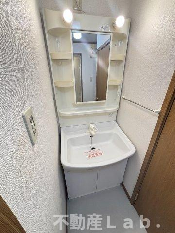 カーサエミネンスⅡの洗面所