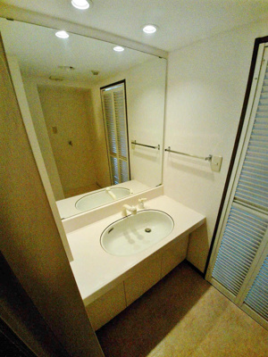 【洗面所】 | ダイアパレス朝霞