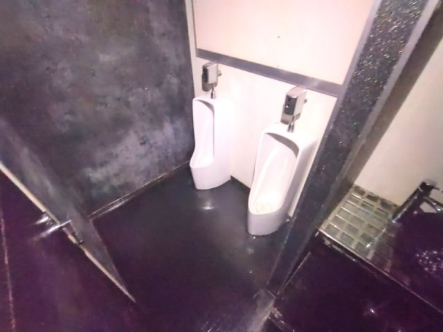 花笑ビルパリスのトイレ