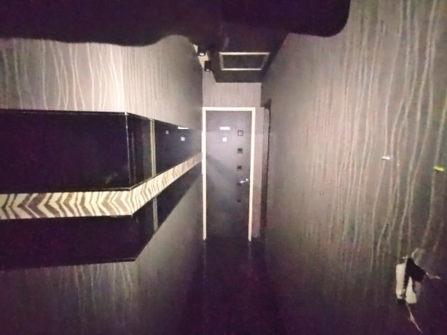 花笑ビルパリスのその他