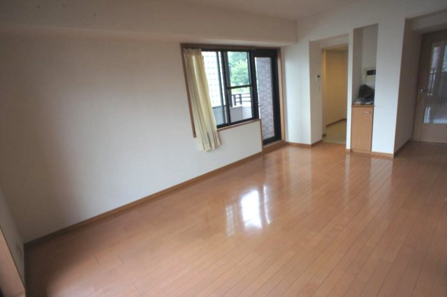 熊本市中央区新町１丁目の賃貸マンションの内装