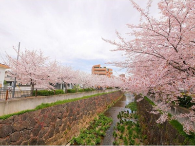 【周辺】 | エミネンス石川橋