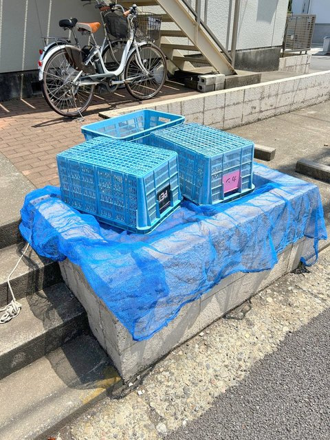 シティハイム　コアラのその他共用部分