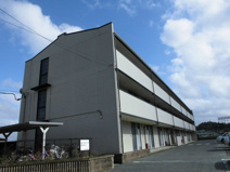 ＨＡＴＵＳＩＢＡの画像