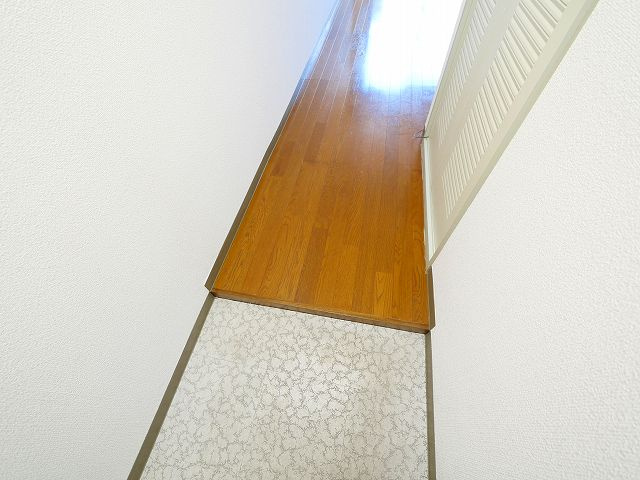 SKYマンションの玄関