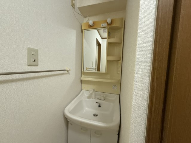 フレンドリー大野の洗面所