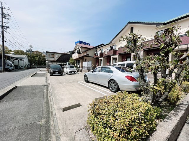 アプトエーデルワイスのその他