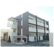 アルベロの画像