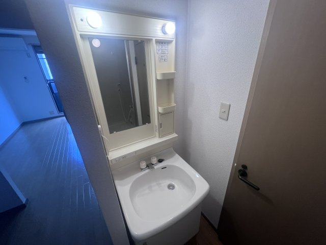 ジュネス離宮の洗面所