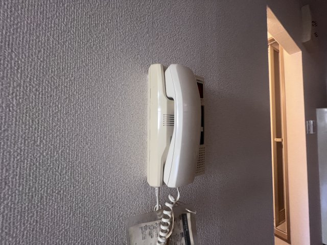 ジュネス離宮のセキュリティ