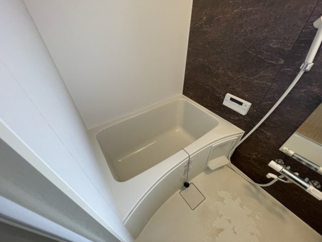 グリーンハイツ白川の浴室