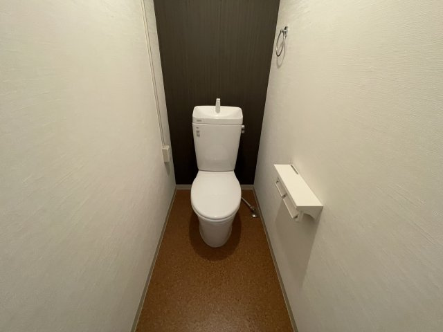 グリーンハイツ白川のトイレ