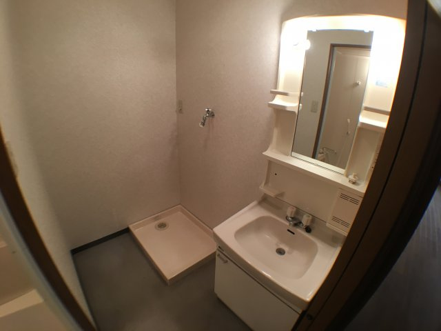 ハイム岩崎の洗面所