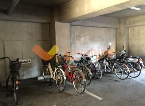 トランプのその他共用部分