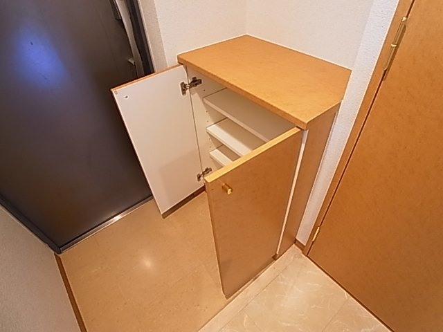神戸市須磨区大池町５丁目の賃貸マンションの玄関|シューズボックス付き