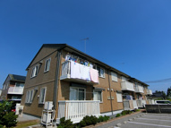 サングリーン　Ｂの画像