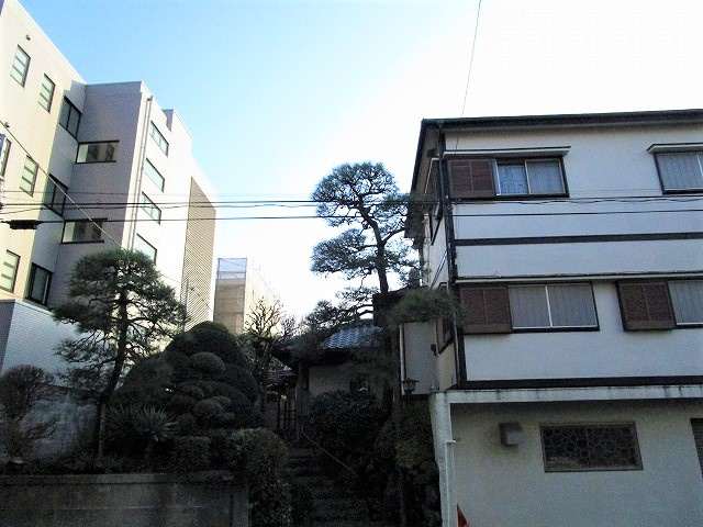 トレエースの展望