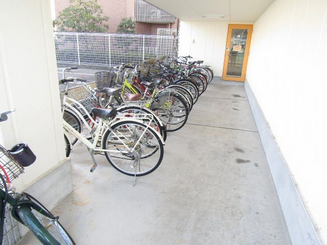 ドマーニの周辺