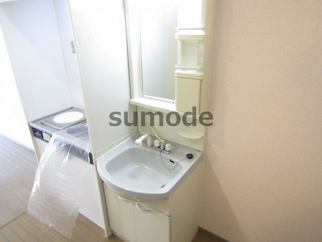 ドマーニの洗面所