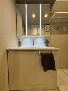 【洗面所】藤和猫屋町ハイタウン 