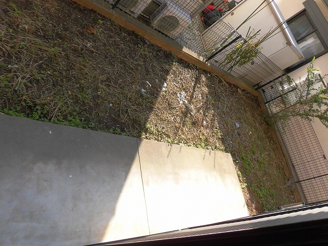 オークス